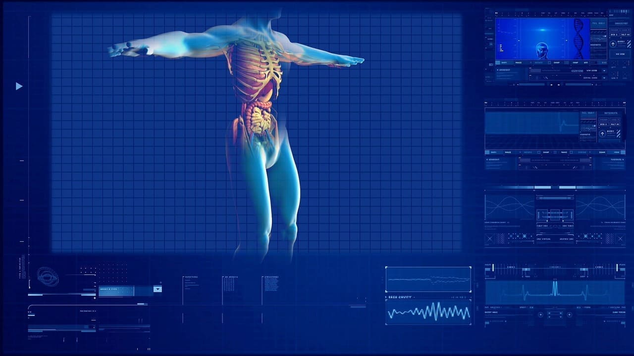 3D Drucker Organe aus dem Biodrucker